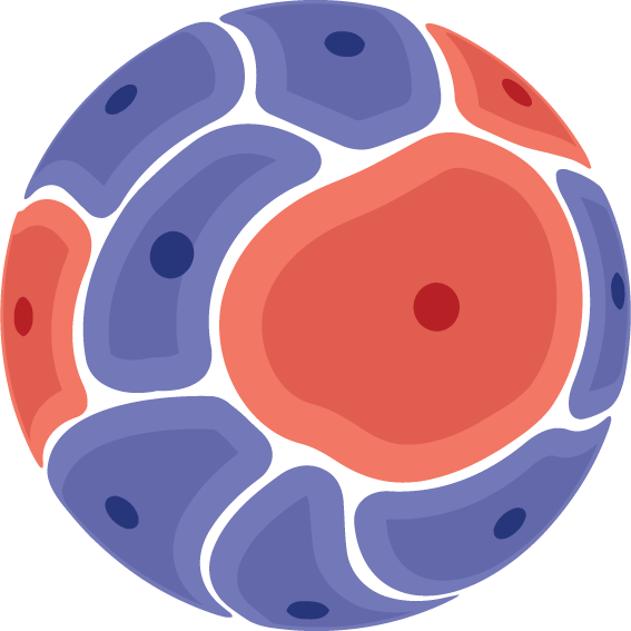 immuno-model symbol